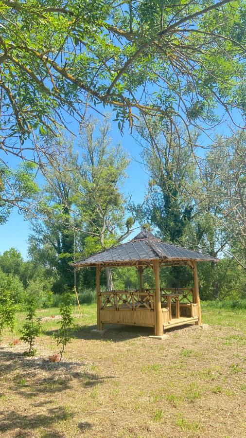 فندق Domaine De Garabaud Mazères المظهر الخارجي الصورة